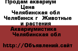 Продам аквариум 4100 › Цена ­ 4 100 - Челябинская обл., Челябинск г. Животные и растения » Аквариумистика   . Челябинская обл.